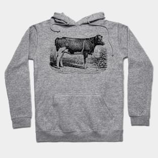 Calf Vintage Black and White Illustration Hoodie